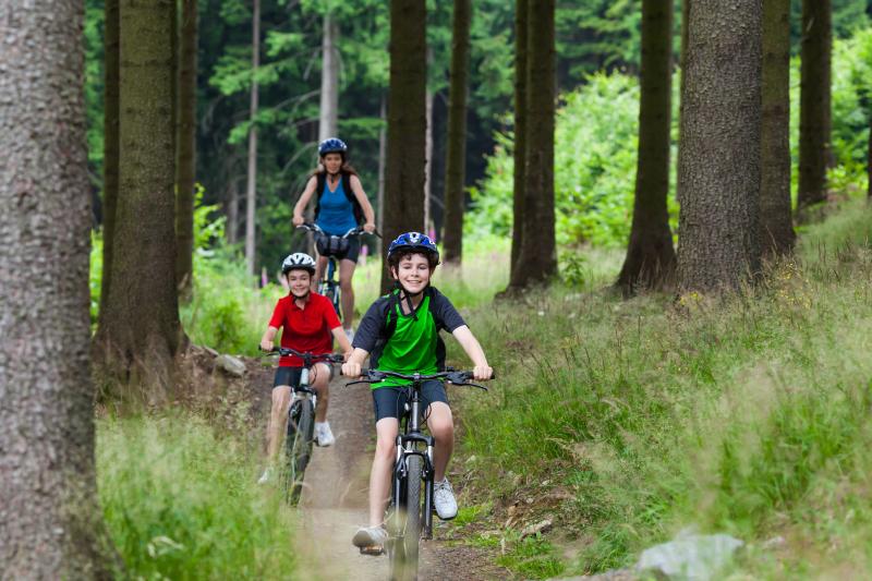 A family is riding on a trail through woods, with a boy at the front, girl behind him and then mum at the rear