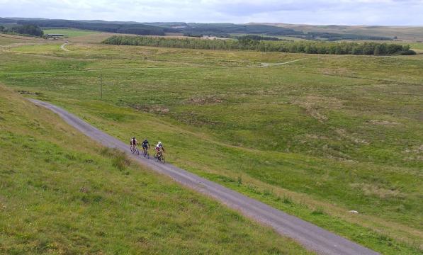 Three cyclists on a lane among rolling green hills